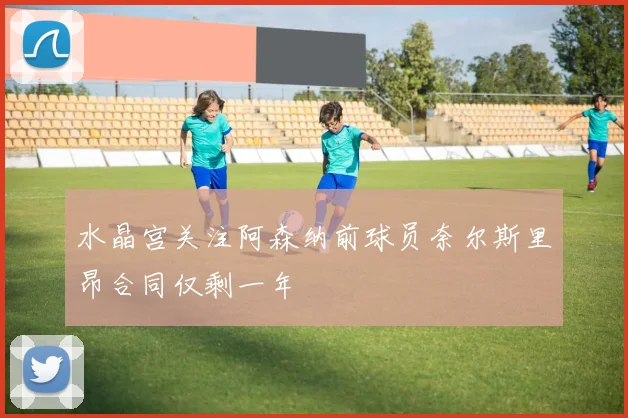 水晶宫关注阿森纳前球员奈尔斯里昂合同仅剩一年