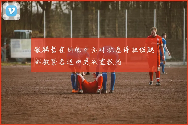 张稀哲在训练中无对抗急停扭伤腿部被紧急送回更衣室救治
